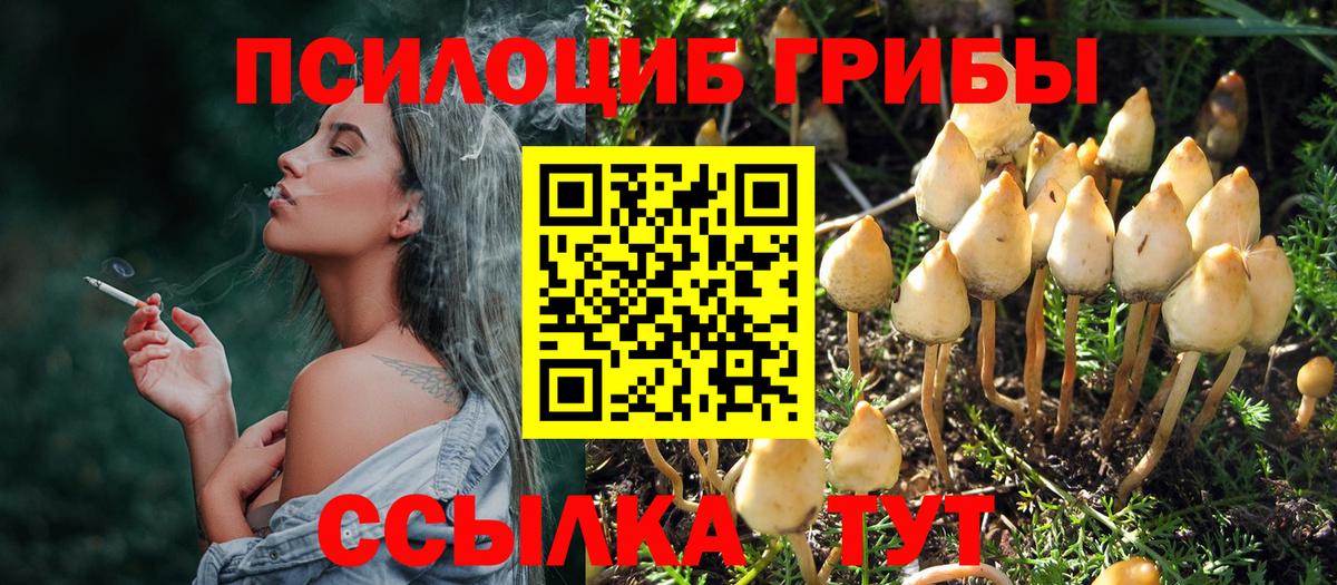 Псилоцибиновые грибы MAGIC MUSHROOMS Новый Уренгой