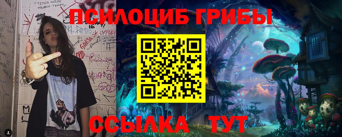 Галлюциногенные грибы мухоморы  где купить наркотик  Новый Уренгой  Вход с VPN 